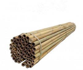 Araci bambus 210 cm /20-22mm